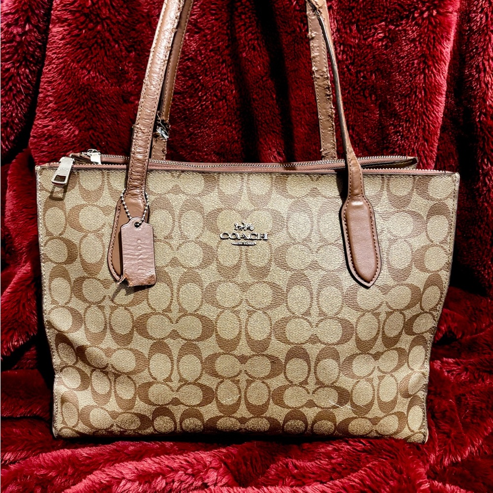Coach Brown Signature Nina Carry All Tote Bag CL399